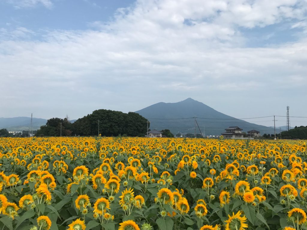 筑波山 関東平野を代表する筑波山の見え方から現在地を特定する方法 ベータの旅記録